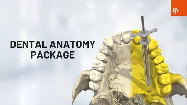 Primal Pictures - Dental Anatomy Package - Video Thumbnail