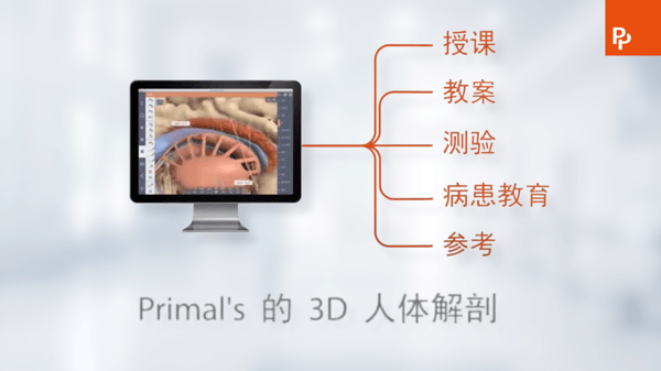 Primal Pictures - Video Thumbnail - 3D Real-time Human Anatomy in Chinese