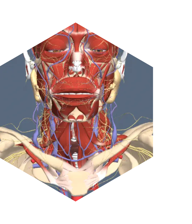Aleternating Video Image